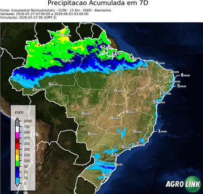 7 dias