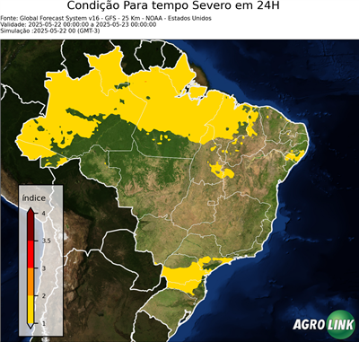 24 horas