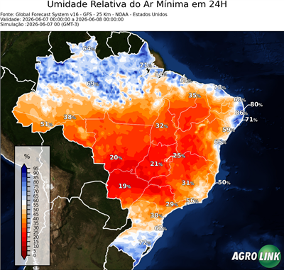 24 horas