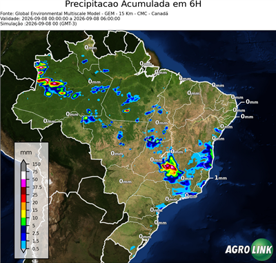6 horas