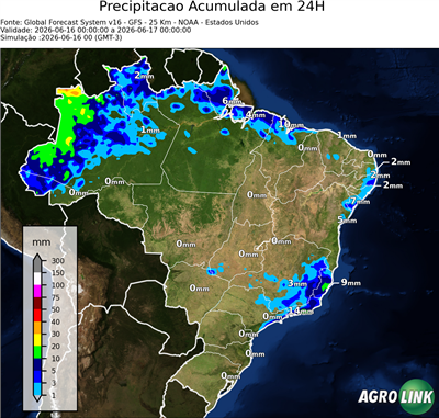 24 horas