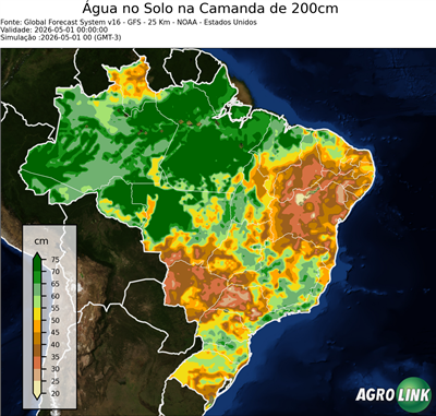 24 horas
