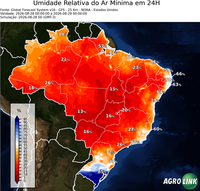 24 horas