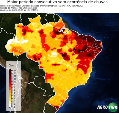 15 dias