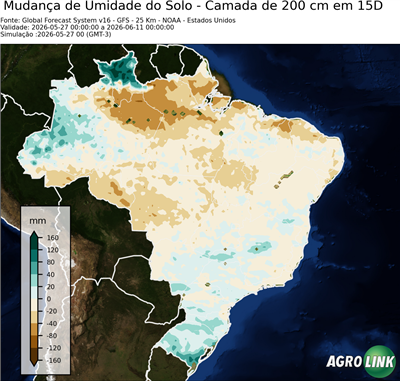 15 dias