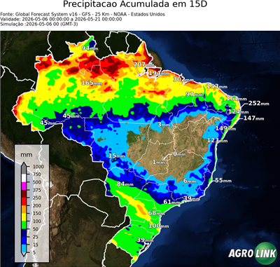 15 dias