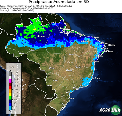 5 dias