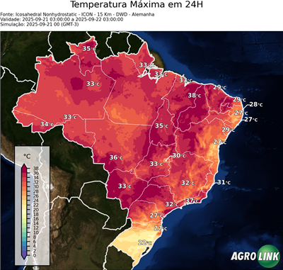 24 horas