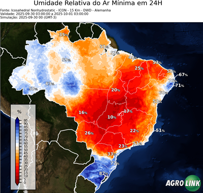 24 horas