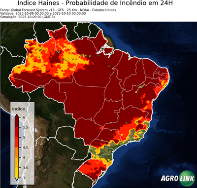 24 horas