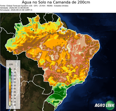 24 horas