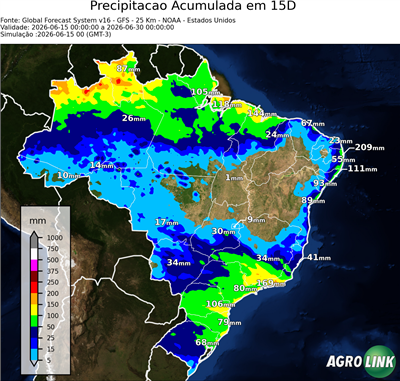 15 dias