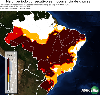 5 dias