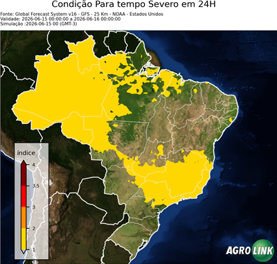 24 horas