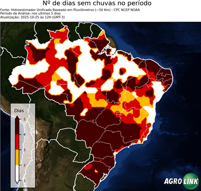 5 dias