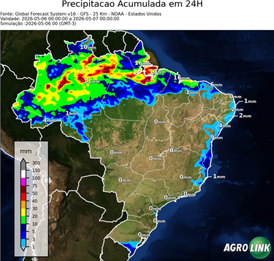 24 horas