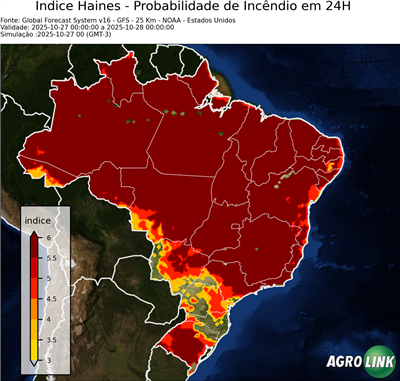 24 horas