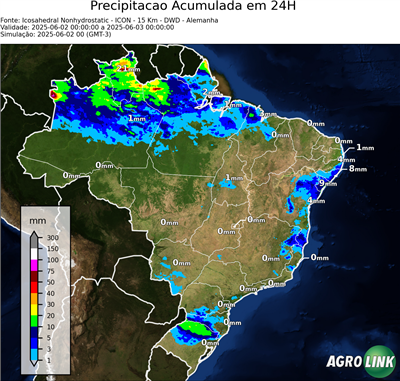 24 horas