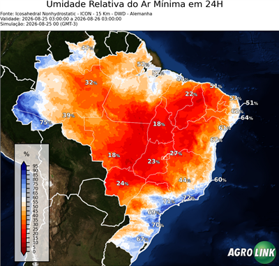 24 horas