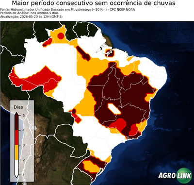 5 dias
