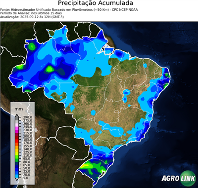 15 dias