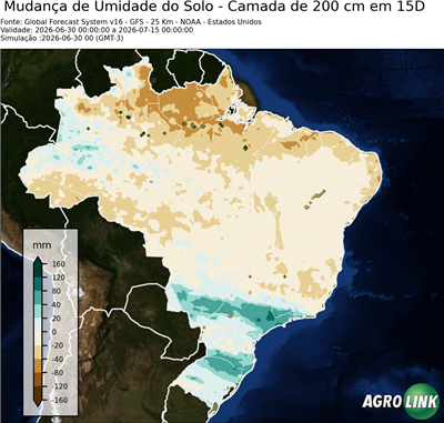 15 dias