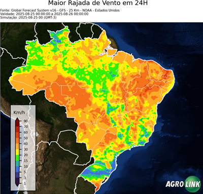 24 horas