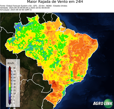 24 horas