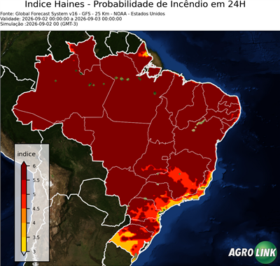 24 horas