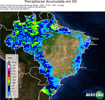 5 dias