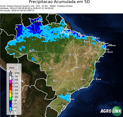 5 dias