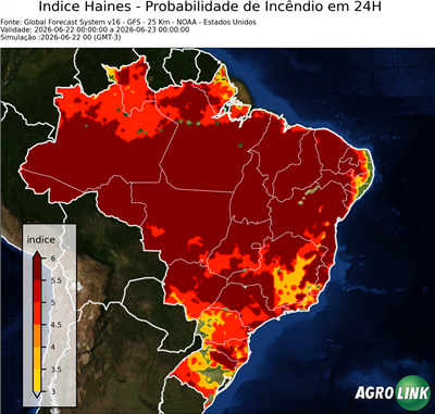 24 horas