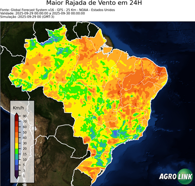 24 horas