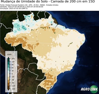 15 dias