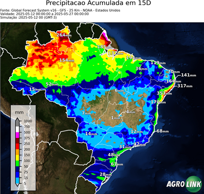 15 dias