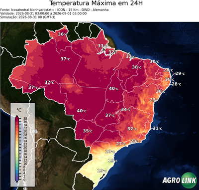 24 horas