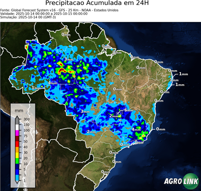 24 horas