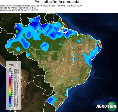 5 dias