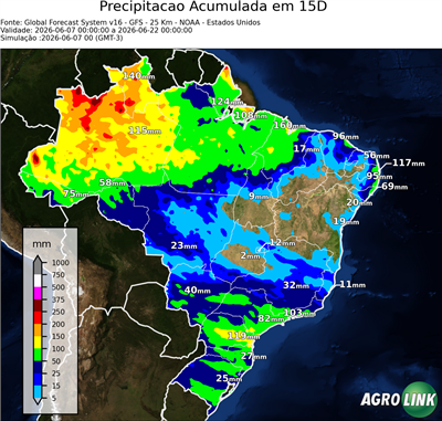 15 dias
