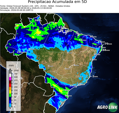 5 dias
