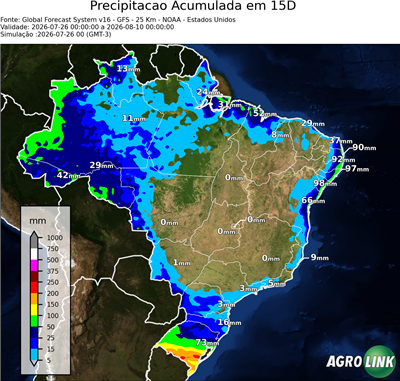 15 dias