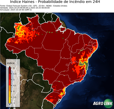 24 horas