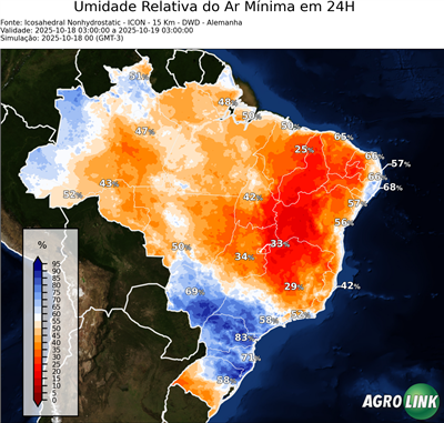 24 horas