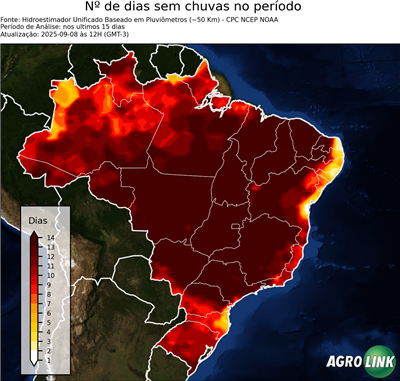 15 dias