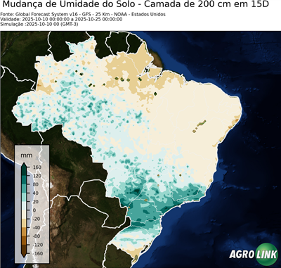 15 dias