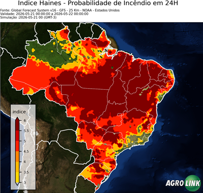 24 horas