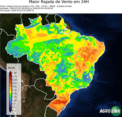 24 horas