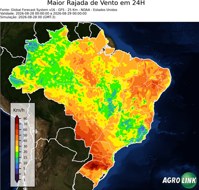 24 horas