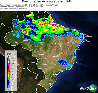 24 horas