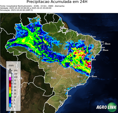24 horas